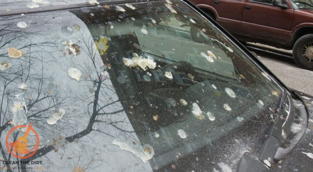 How to Clean Bird Poop Off Car? Expert Tips and Techniques Bird Poop Off Car Cleaning Methods