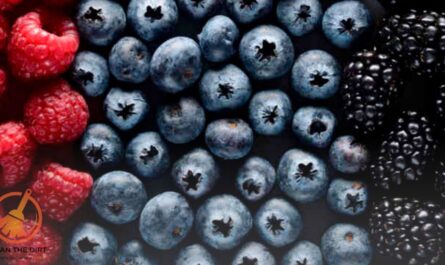 How to Clean Berries With Vinegar? Expert Tips and Tricks How to Clean Berries With Vinegar