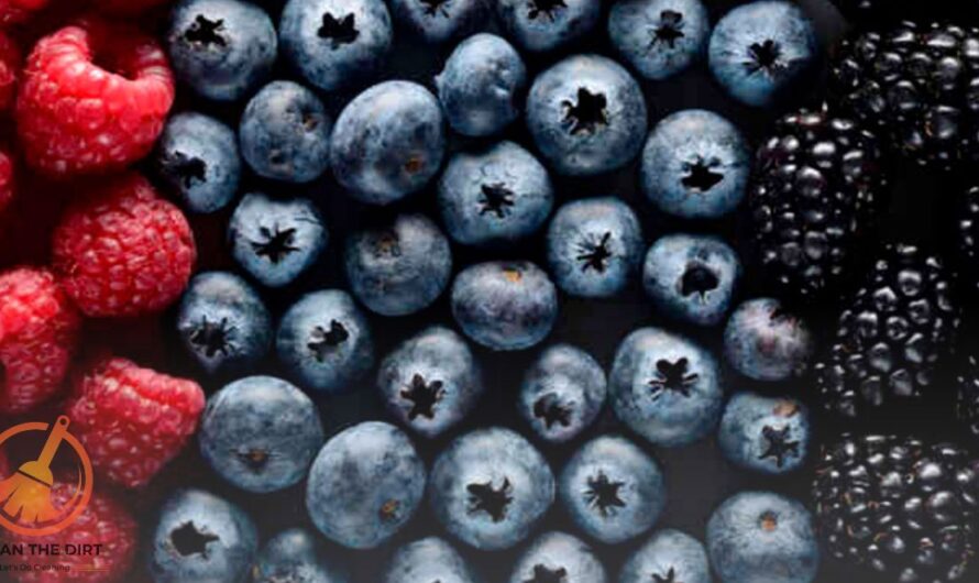 How to Clean Berries With Vinegar? Expert Tips and Tricks