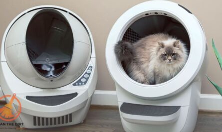 How to Clean Litter Robot 3? Expert Tips for Effectiveness How to Clean Litter Robot 3