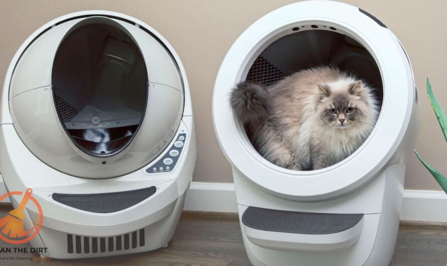 How to Clean Litter Robot 3? Expert Tips for Effectiveness