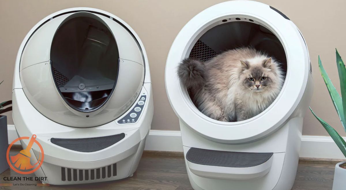 How To Clean Litter Robot 3? Expert Tips For Effectiveness