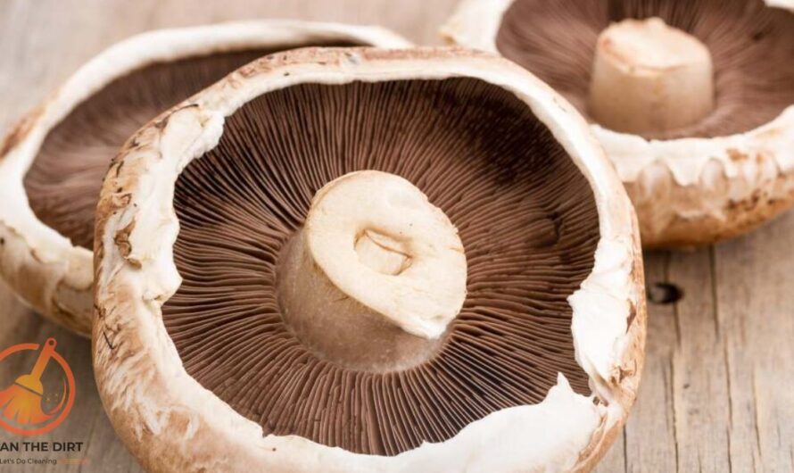 How to Clean a Portobello Mushroom? Tips and Techniques