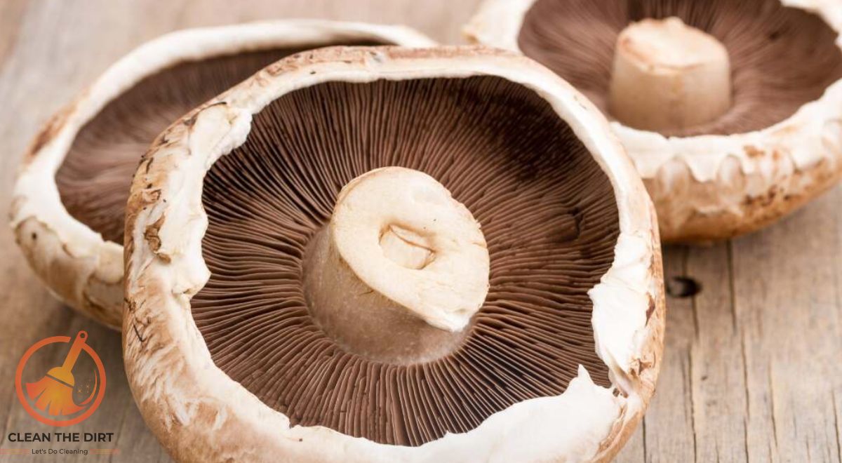 How to Clean a Portobello Mushroom? Tips and Techniques How to Clean a Portobello Mushroom