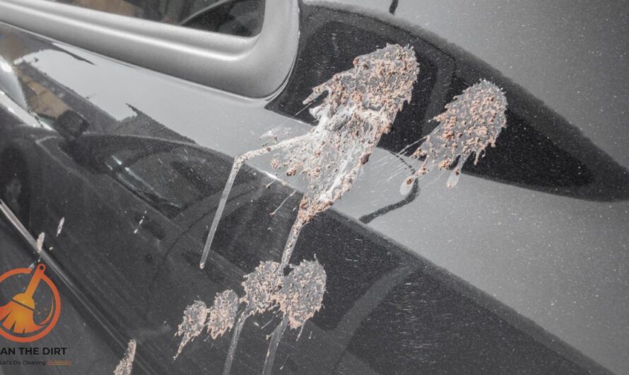 How to Clean Bird Poop Off Car? Expert Tips and Techniques