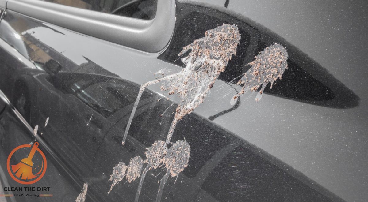 How to Clean Bird Poop Off Car? Expert Tips and Techniques How to Clean Bird Poop Off Car